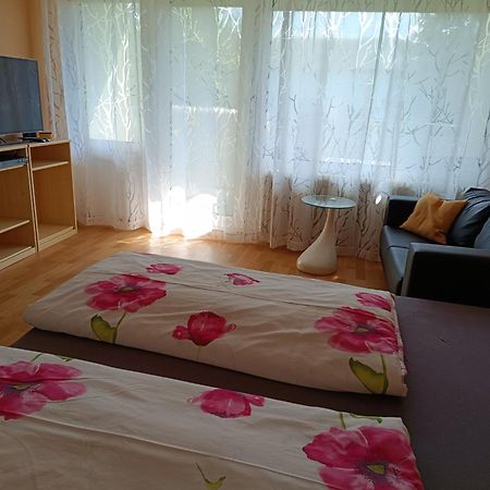 Offenburg Apartment ภายนอก รูปภาพ