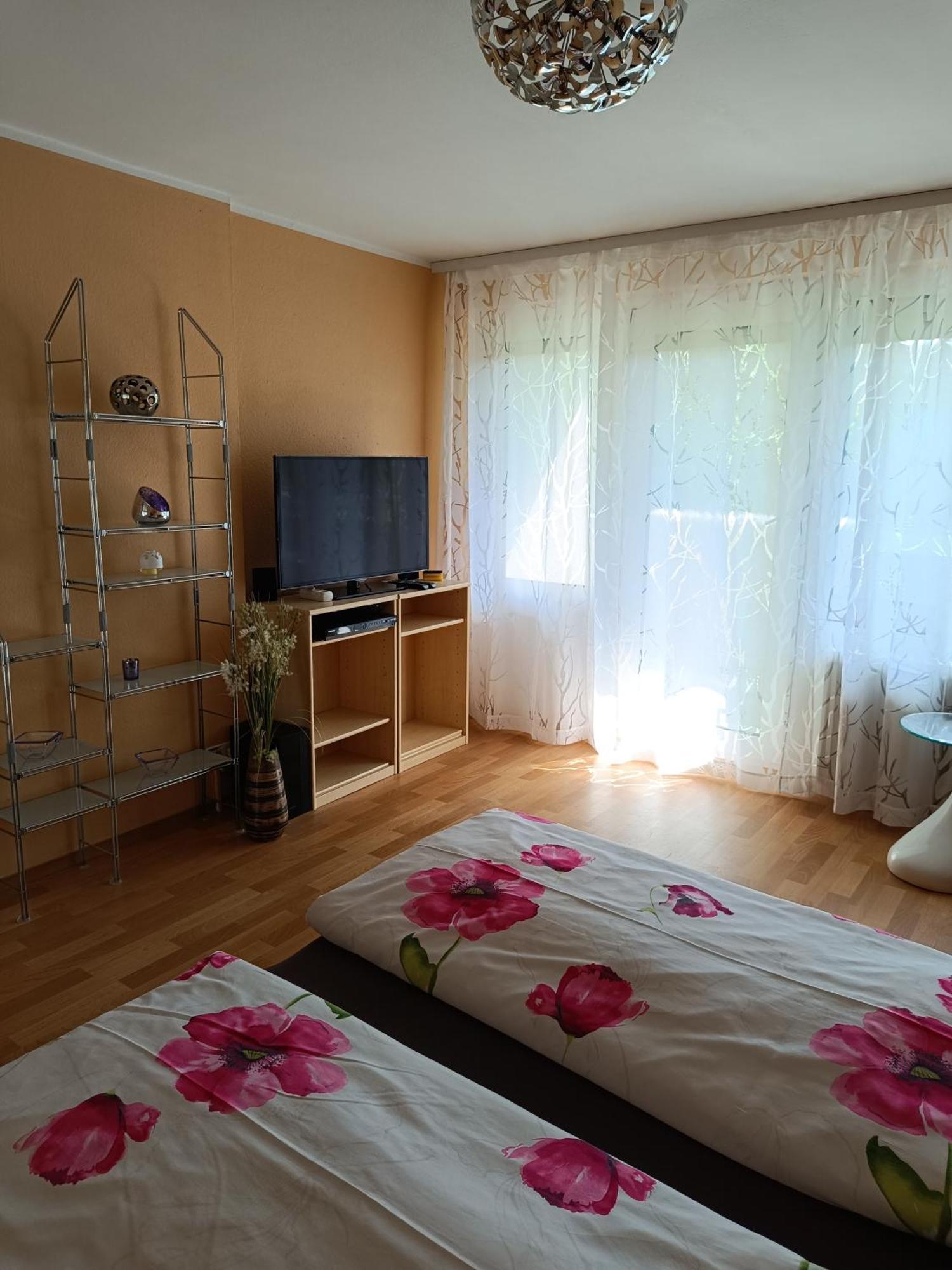 Offenburg Apartment ภายนอก รูปภาพ