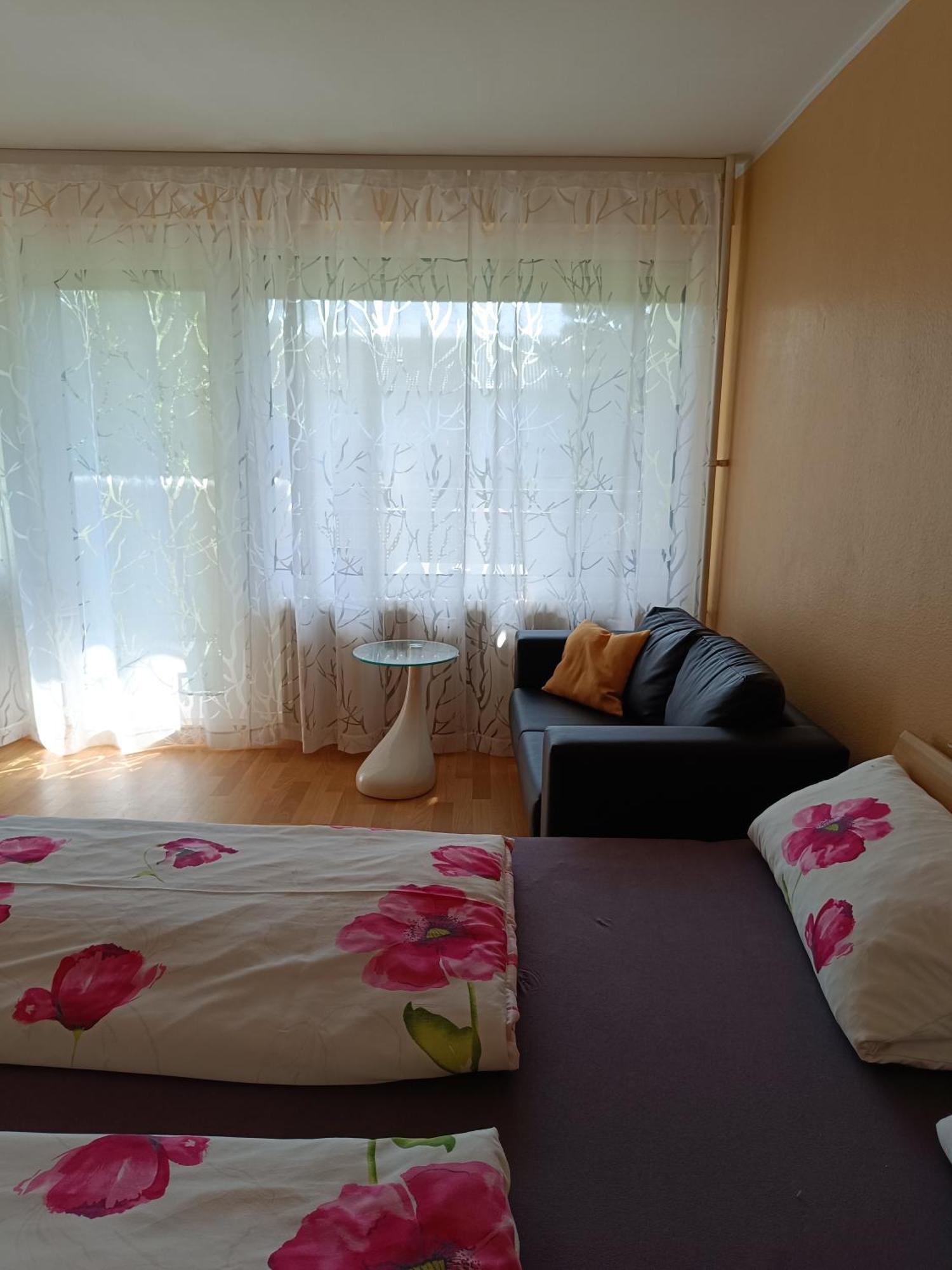 Offenburg Apartment ภายนอก รูปภาพ